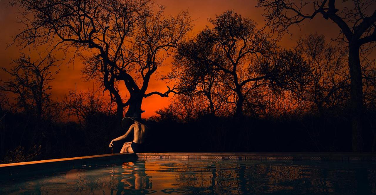 Safari Moon Luxury Bush Lodge هويدزبروت المظهر الخارجي الصورة